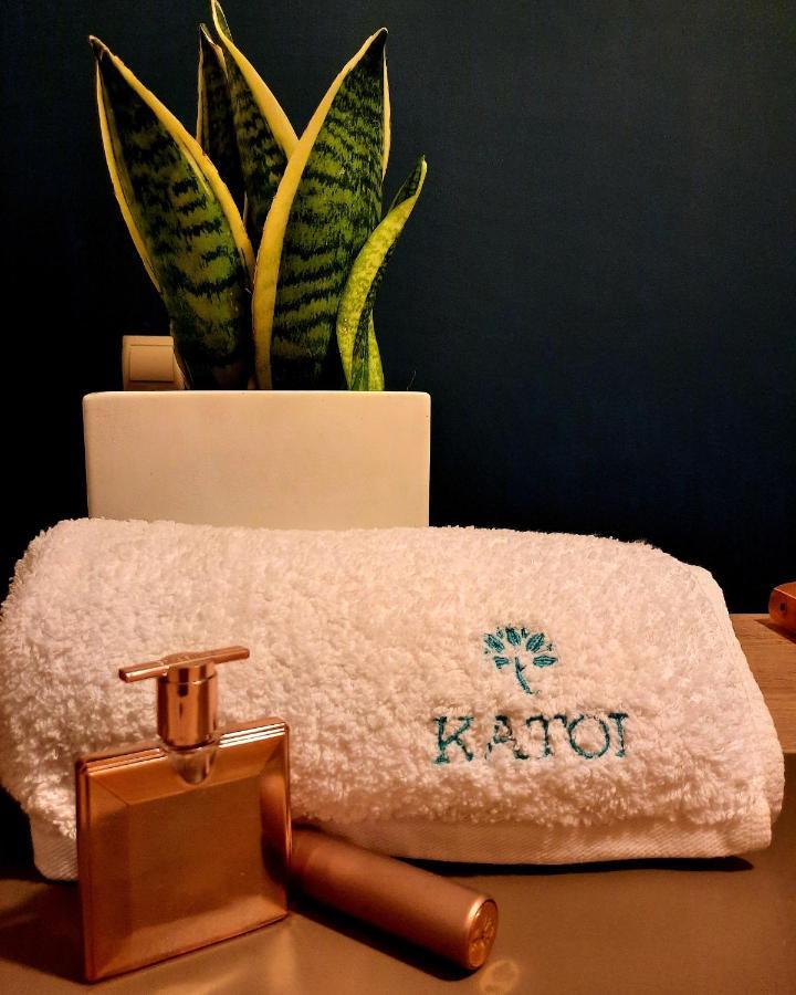 Katoi Traditional House Exo Khora 外观 照片
